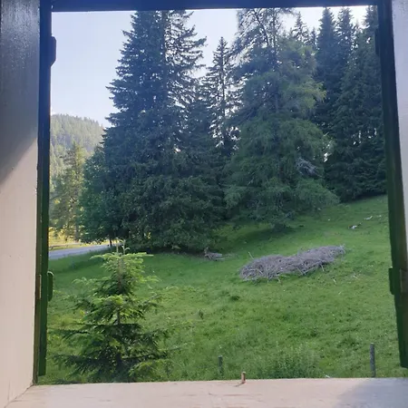 Almzeithuette Am Seeberg Brandhof