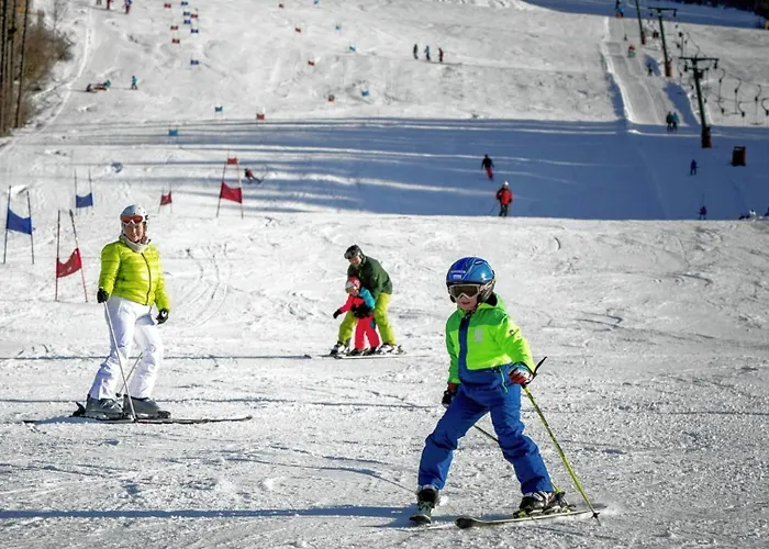 Almzeithuette Am Seeberg بيت للعطل